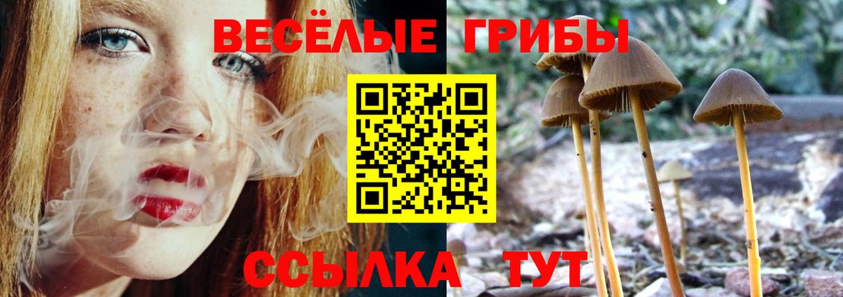 Псилоцибиновые грибы Magic Shrooms  Галлюциногенные грибы Psilocybine cubensis  Туапсе  Вход с VPN 